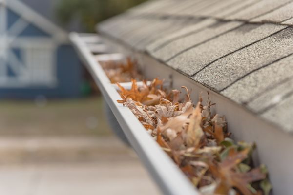 Leaf Barrier Installation in Minneapolis